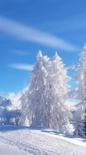 New 1280x800 mobile wallpapers Landscape, Winter, Trees free download.