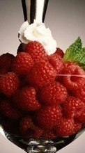 New mobile wallpapers - free download. Dessert, Food, Berries, Raspberry picture and image for mobile phones.