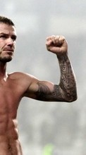 New mobile wallpapers - free download. David Beckham,People,Men picture and image for mobile phones.