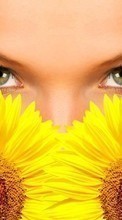 New 320x480 mobile wallpapers Plants, Humans, Girls, Sunflowers free download.