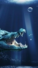 New mobile wallpapers - free download. Dinosaurs,Fantasy,Animals picture and image for mobile phones.