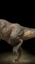 New mobile wallpapers - free download. Dinosaurs, Animals picture and image for mobile phones.
