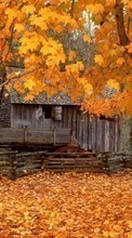New mobile wallpapers - free download. Landscape, Houses, Autumn, Leaves picture and image for mobile phones.