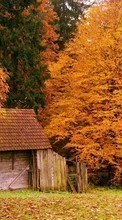 New mobile wallpapers - free download. Houses,Autumn,Landscape picture and image for mobile phones.