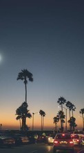 New mobile wallpapers - free download. Roads, Cities, Night, Palms, Landscape picture and image for mobile phones.