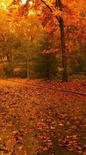 New mobile wallpapers - free download. Roads, Leaves, Autumn, Landscape picture and image for mobile phones.