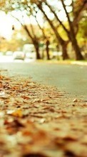 New mobile wallpapers - free download. Roads, Leaves, Autumn, Landscape picture and image for mobile phones.