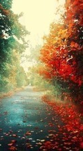 New mobile wallpapers - free download. Roads, Autumn, Landscape picture and image for mobile phones.