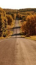 New mobile wallpapers - free download. Roads,Autumn,Landscape picture and image for mobile phones.