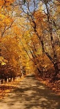 New mobile wallpapers - free download. Roads,Autumn,Landscape picture and image for mobile phones.