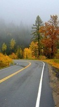 Roads,Autumn,Landscape for Sony Xperia E