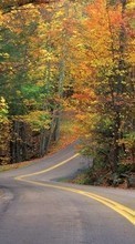 New 240x400 mobile wallpapers Landscape, Roads, Autumn free download.