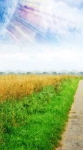 Roads, Landscape, Fields for Sony Ericsson W705