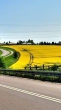 New mobile wallpapers - free download. Roads, Landscape, Fields picture and image for mobile phones.