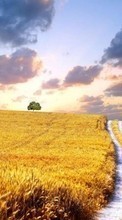 New mobile wallpapers - free download. Roads,Landscape,Fields picture and image for mobile phones.