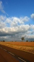 New mobile wallpapers - free download. Roads,Landscape,Fields,Nature picture and image for mobile phones.