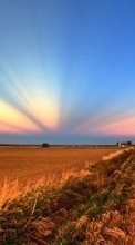 New mobile wallpapers - free download. Roads, Landscape, Fields, Sunset picture and image for mobile phones.