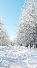 New mobile wallpapers - free download. Roads,Landscape,Winter picture and image for mobile phones.