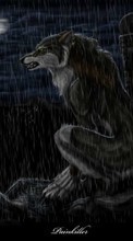 New mobile wallpapers - free download. Rain, Fantasy, Wolfs, Animals picture and image for mobile phones.