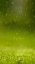 New mobile wallpapers - free download. Rain, Background, Grass picture and image for mobile phones.