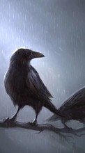 New 320x480 mobile wallpapers Animals, Birds, Rain, Drawings, Crows free download.