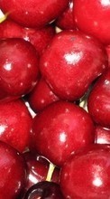 Food, Sweet cherry, Background, Fruits for LG Optimus Vu