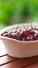 New mobile wallpapers - free download. Food,Sweet cherry,Fruits picture and image for mobile phones.