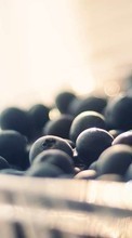 New mobile wallpapers - free download. Food, Bilberries, Fruits picture and image for mobile phones.
