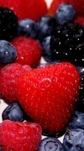 New mobile wallpapers - free download. Fruits, Food, Strawberry, Bilberries, Berries picture and image for mobile phones.