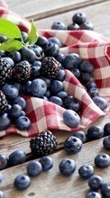 New mobile wallpapers - free download. Food,Bilberries,Berries,Plants,Blackberry picture and image for mobile phones.