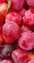 New 360x640 mobile wallpapers Fruits, Food, Backgrounds, Berries, Plum free download.