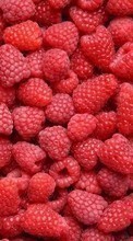 New mobile wallpapers - free download. Food, Background, Fruits, Berries, Raspberry picture and image for mobile phones.