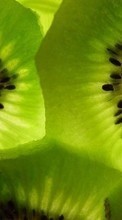 New 240x320 mobile wallpapers Fruits, Food, Backgrounds, Kiwi free download.