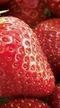 New mobile wallpapers - free download. Food, Background, Fruits, Strawberry picture and image for mobile phones.