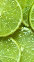 New mobile wallpapers - free download. Food, Background, Fruits, Lime picture and image for mobile phones.