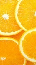New mobile wallpapers - free download. Food,Background,Fruits,Lemons picture and image for mobile phones.