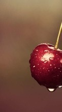 New mobile wallpapers - free download. Food, Background, Fruits, Cherry picture and image for mobile phones.