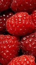 New mobile wallpapers - free download. Food, Backgrounds, Raspberry, Berries picture and image for mobile phones.