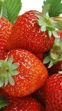 New mobile wallpapers - free download. Fruits, Food, Strawberry, Berries picture and image for mobile phones.