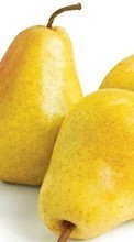 New mobile wallpapers - free download. Fruits, Food, Pears picture and image for mobile phones.