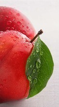 New mobile wallpapers - free download. Food, Fruits, Drops picture and image for mobile phones.