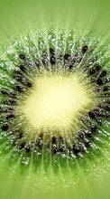 New mobile wallpapers - free download. Food, Fruits, Kiwi picture and image for mobile phones.
