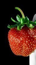 Fruits, Food, Strawberry, Berries for Huawei Honor 7 Premium