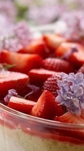 New mobile wallpapers - free download. Food,Fruits,Strawberry picture and image for mobile phones.