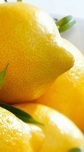 New 360x640 mobile wallpapers Fruits, Food, Lemons free download.