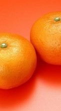 New mobile wallpapers - free download. Fruits, Food, Tangerines, Still life picture and image for mobile phones.