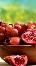 New mobile wallpapers - free download. Food,Fruits,Drinks,Vine,Grapes picture and image for mobile phones.