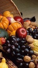 Food,Fruits,Vegetables for LG G Pad 8.0 V490