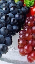 New mobile wallpapers - free download. Food, Fruits, Grapes picture and image for mobile phones.