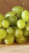 New mobile wallpapers - free download. Food,Fruits,Grapes picture and image for mobile phones.